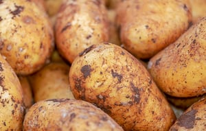 potatoes-4059963_1920